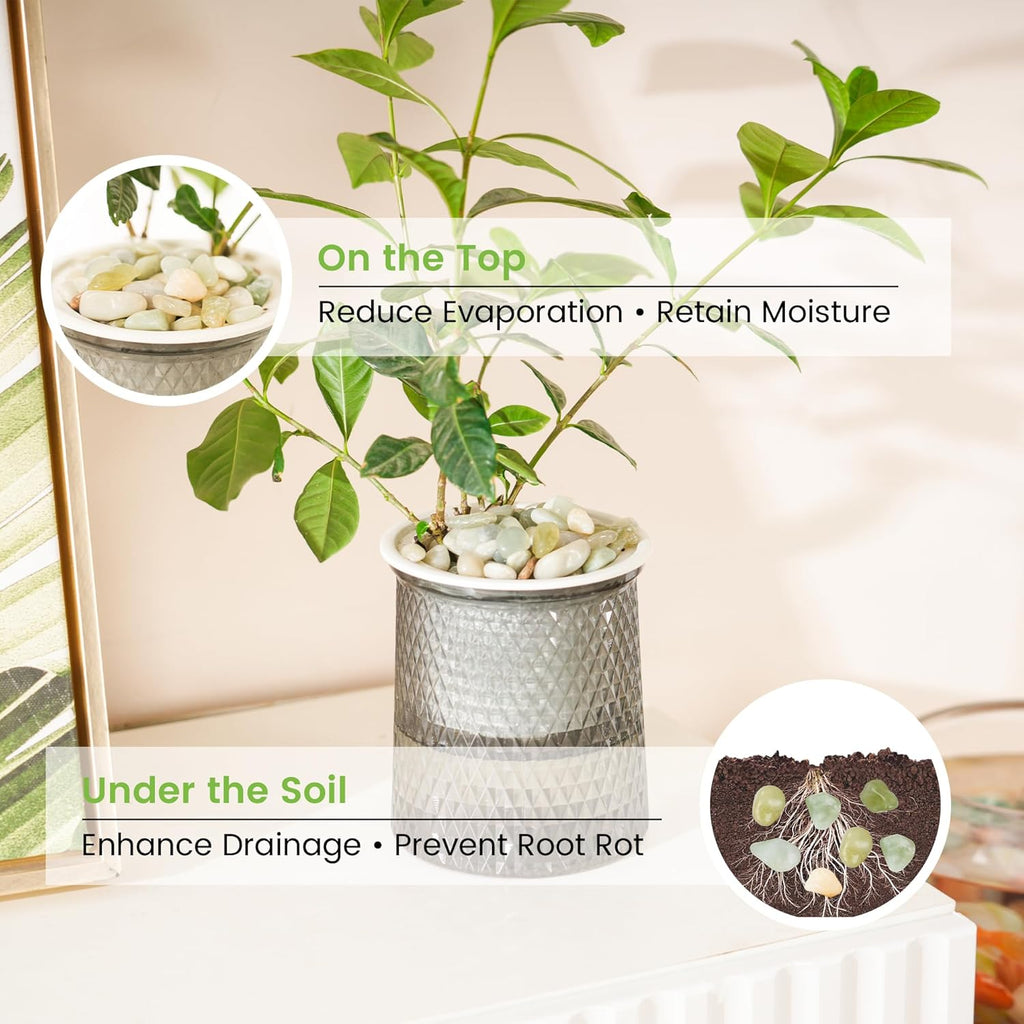 SIDONG 10 LB Jade Pebbles, 2/5 Inch Natural Decorative Polished Jade Stones, Jade River Rocks for Succulents, Cactus, Vases, Indoor Plants, Garden Landscaping, Bamboo