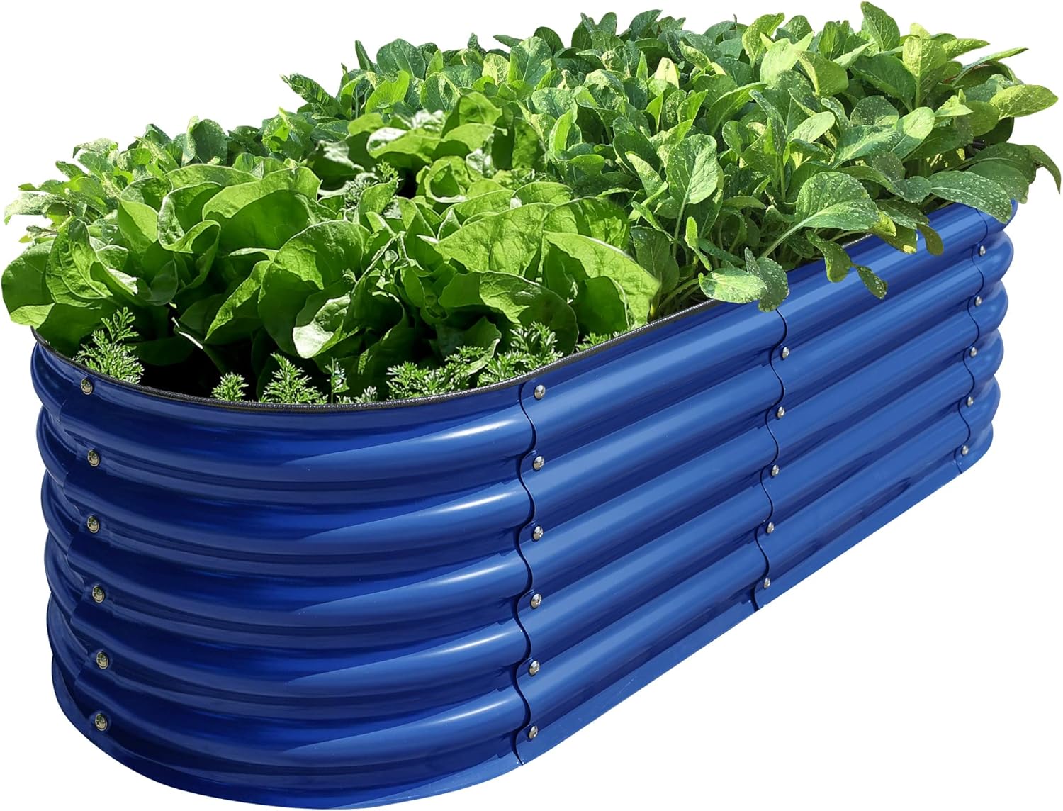 OLLE Galvanized Raised Garden Beds, 12-in-1 Metal Outdoor Plant Boxes for Vegetables, Cobalt Blue 17" Tall