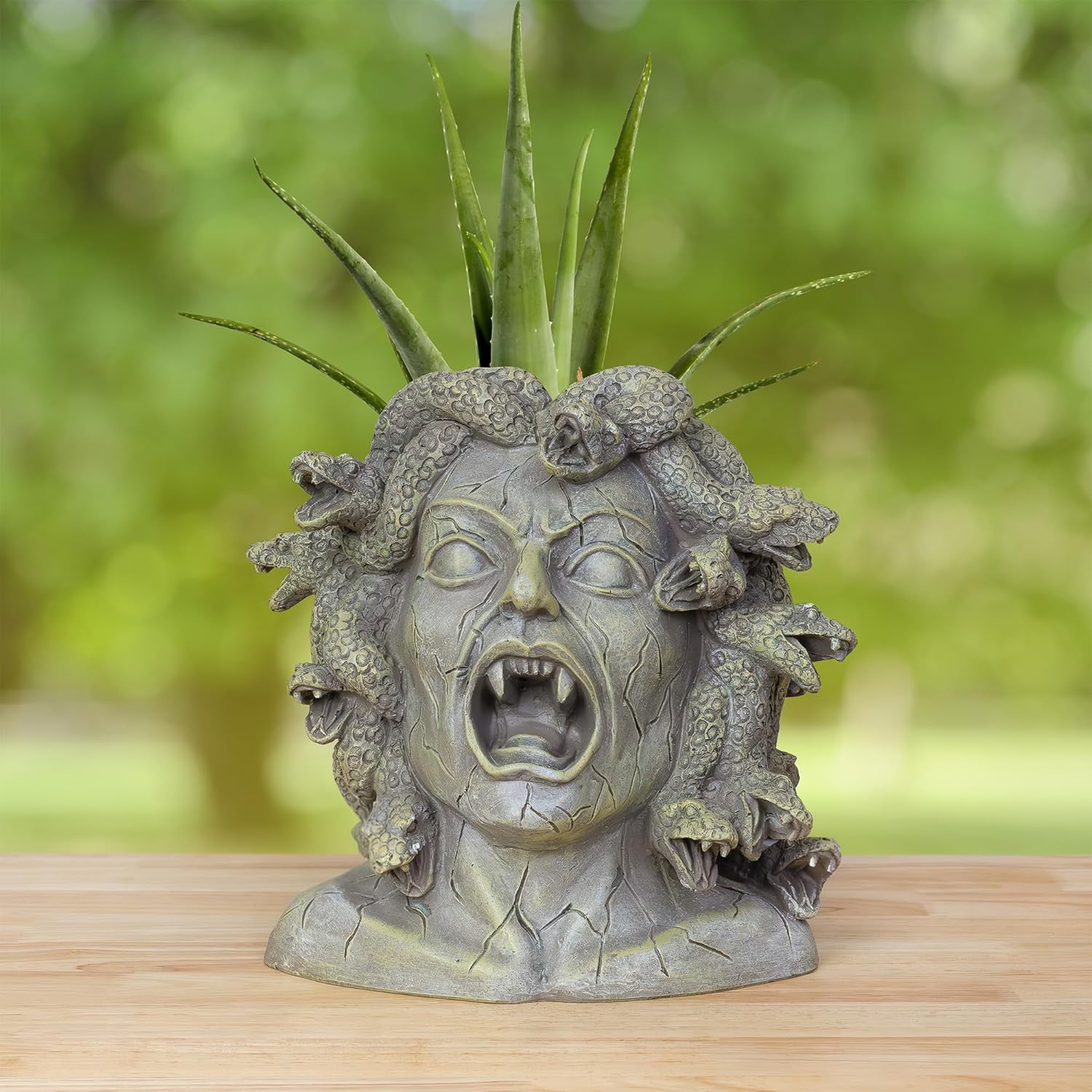 Darware Resin Medusa Head Planter, Large Garden Decor Statue Flower Pot