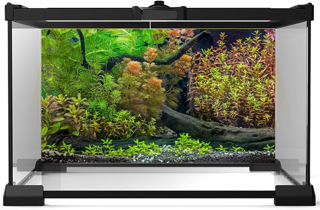 Aquarium Backdrop Underwater Grass Leaves with Pebbles Exquisite Aquarium Background Vivid Green Aquatic Plant Stone River Bed Fish Dead Wood Fresh Leaves Tank Background Decors Vinyl 72x24in