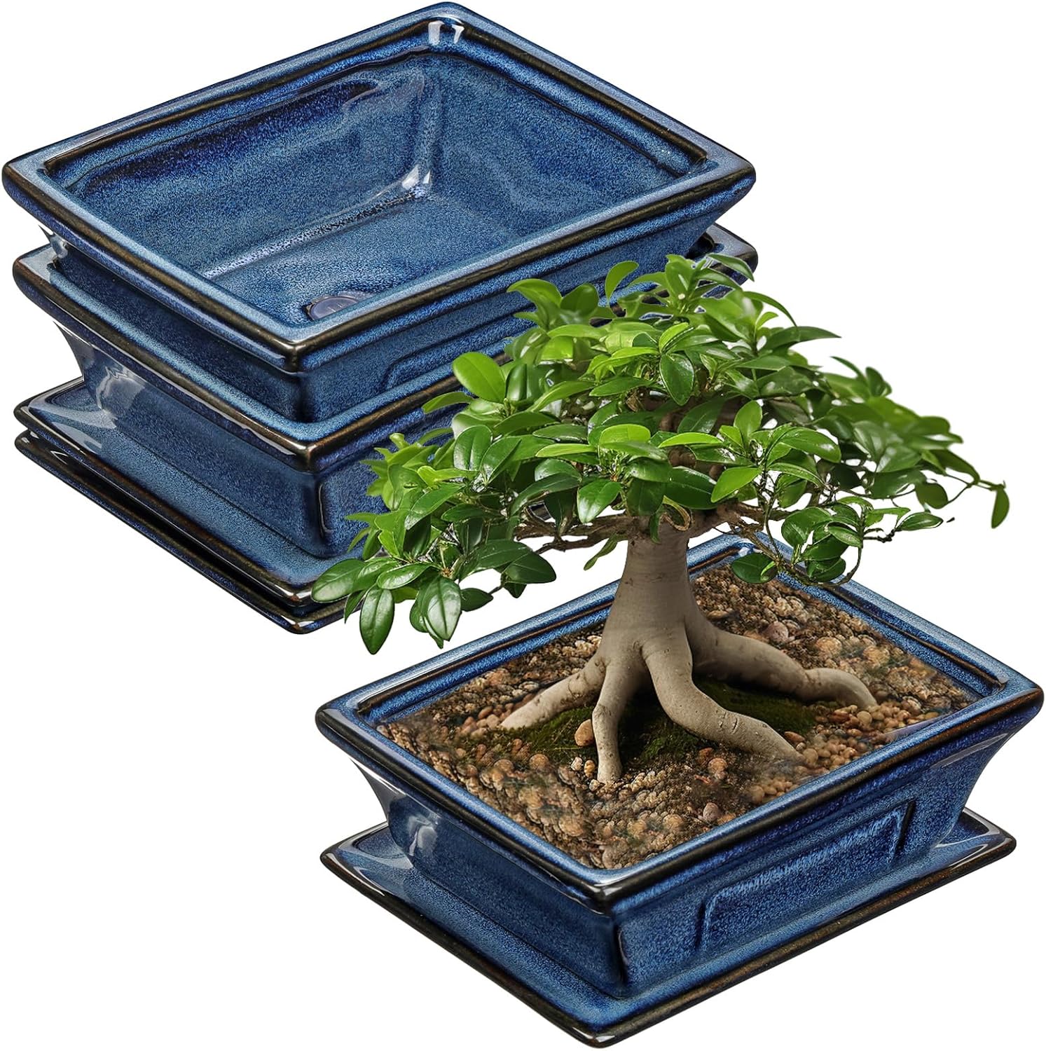 Ceramic Bonsai Pots with Drainage Tray Set of 2, 6 Inch Blue Glazed Bonsai Planters for Indoor/Outdoor Use, Shallow Rectangular Bonzai Tree Pots for Succulent, Orchids, Cacti, Home, Patio, Garden