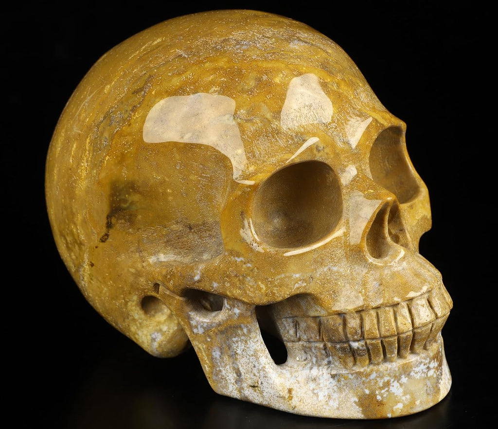 Skullis 5.0" Indian Agate Crystal Carved Crystal Skull. Hand Carved Gemstone Fine Art Sculpture.2393