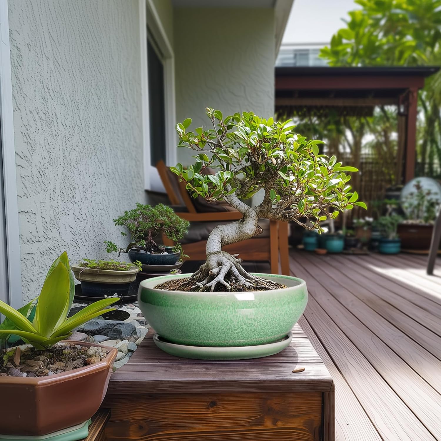 SQOWL Bonsai Pots - 10 Inch Ceramic Succulent Pots with Drainage Hole and Saucer, Shallow Planter for Indoor Plants Flowers, Round Planter Bowl, Living Room Decor, Plant Lover Gifts, Green