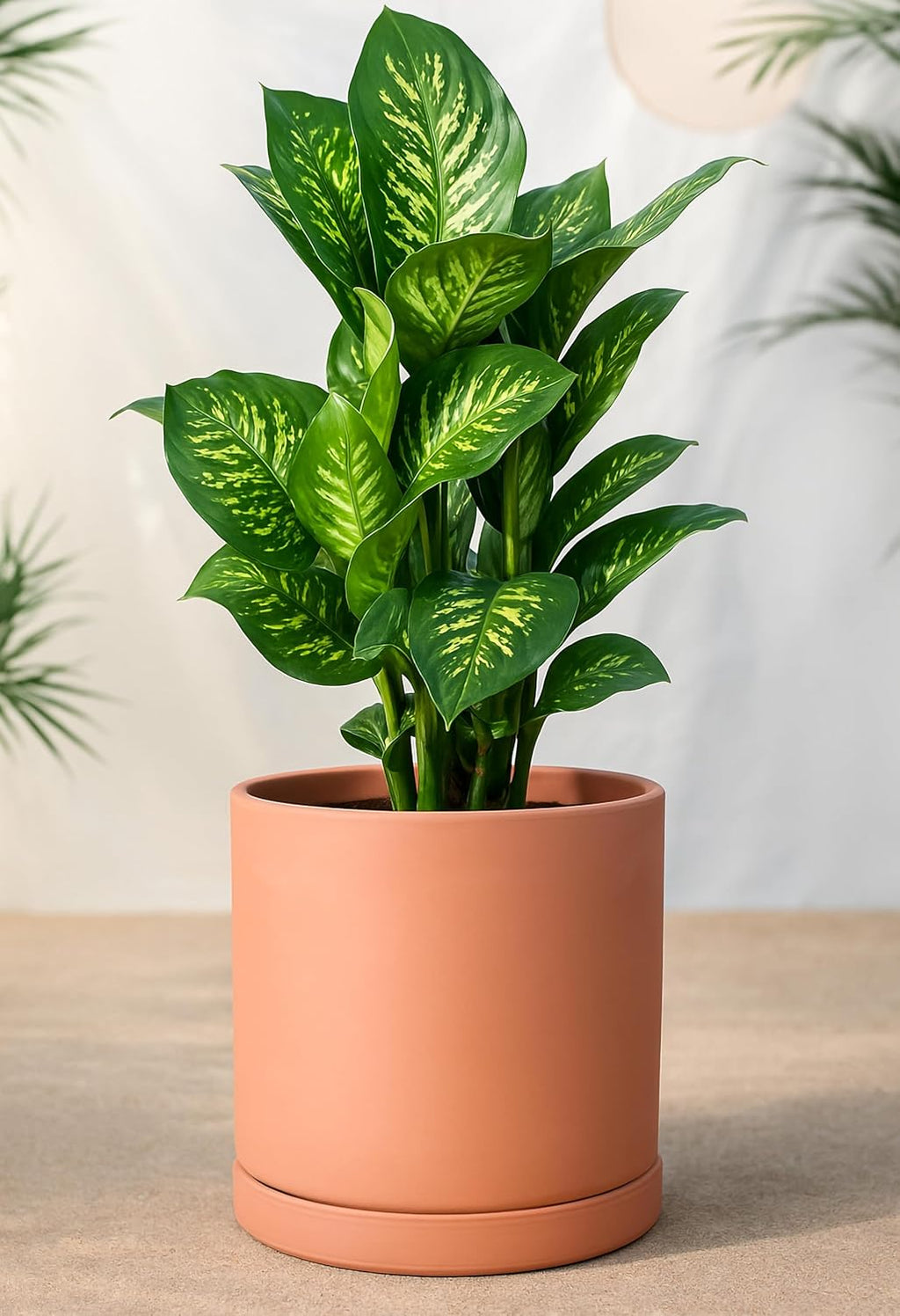 D'vine Dev Large 10 Inch Terracotta Plant Pot with Drainage Hole and Saucer, Round Cylinder Planter Pot for Indoor Plants, Set of 2, 40-X-B-5