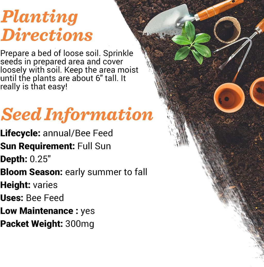 Bentley Seed Flower Mix - Pollinator Seed Mix with 5 Wildflower Seed Packets - Non-GMO Pollinator Seeds - Eco-Friendly Flower Seeds Packets for Party, Celebration, and Gifts - Pollinator Mix