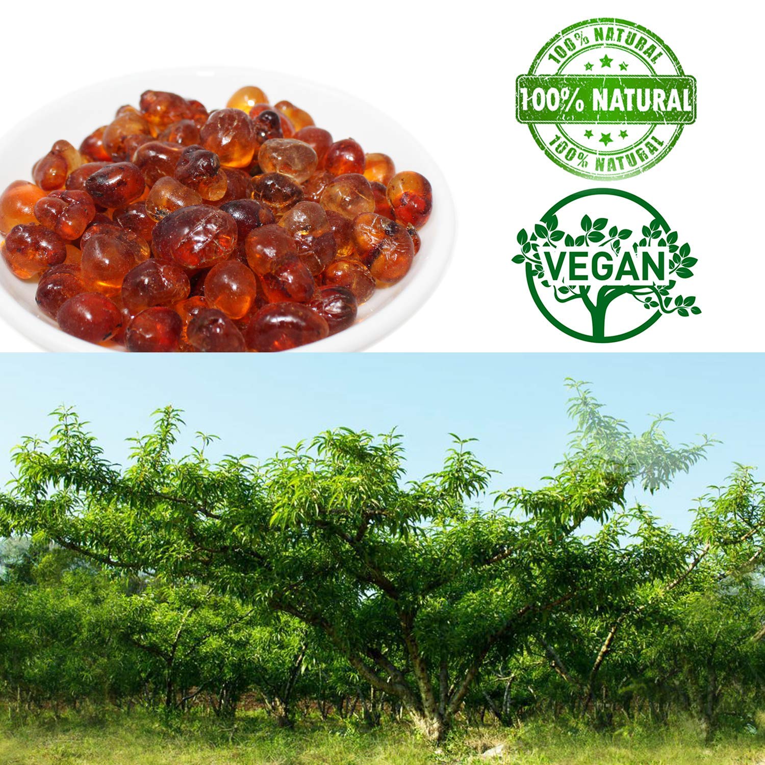 DABC OAK LAND Wild Peach Gum, 100% Natural Edible Peach Blossom, Tears Tao Jiao Peachs Resin, Collagen Boosting for Skin & Health, Food Additives Free for Dessert, Drink, Soup, 1LB of 3 Bags total3LB