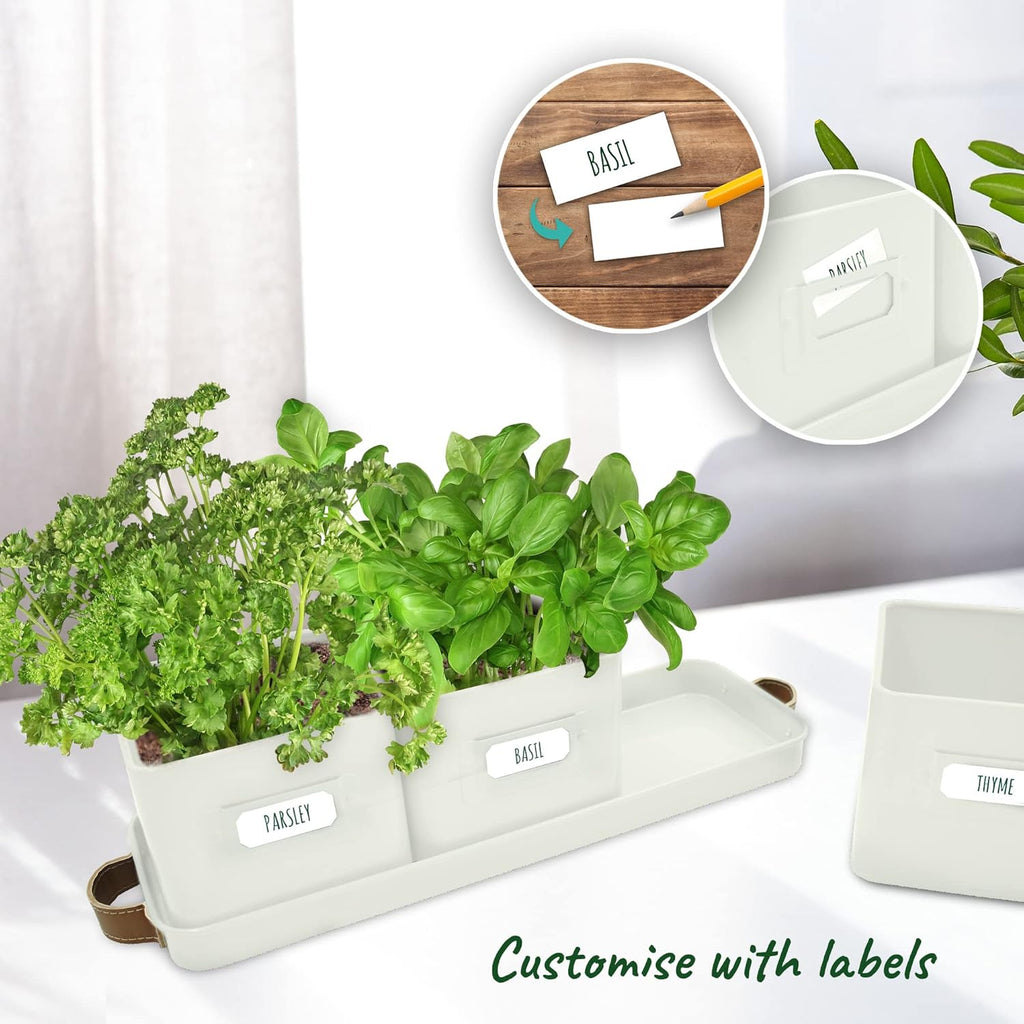 Herb Planter Indoor - Set of 3 Warmstone Indoor Herb Garden Pots for Plants with Leather Handled Tray - Window Sill Plant Shelf - Herb Pots with Drainage Holes and Labels
