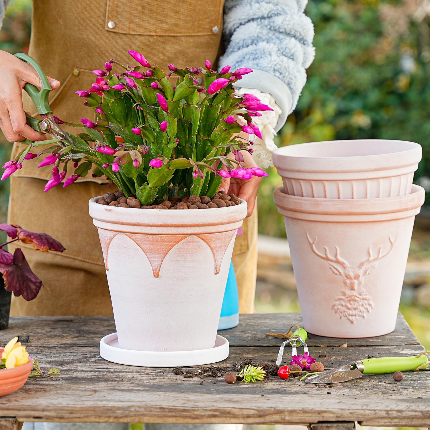 Sungmor Terra Cotta Pot Set - 3 Unique Embossed Clay Planters with Saucer & Drainage, 8 Inch Large & Deep, Pretty Color, Ideal for Orchid, Cactus, Succulent