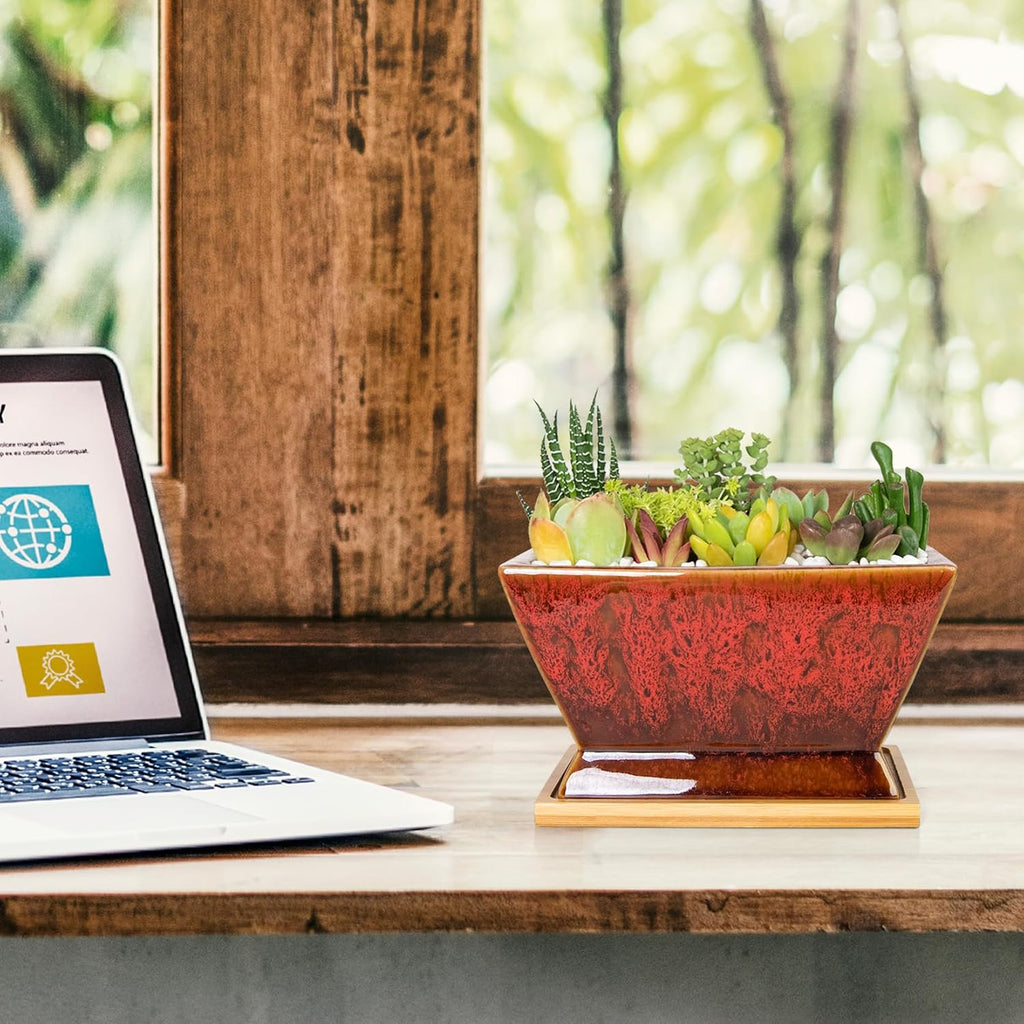 ARTKETTY Succulent Pots - 7 Inch Large Plant Pot with Drainage Tray, Shallow Ceramic Pots for Indoor Plants, Modern Cactus Bonsai Plant Container Decorative Home Office