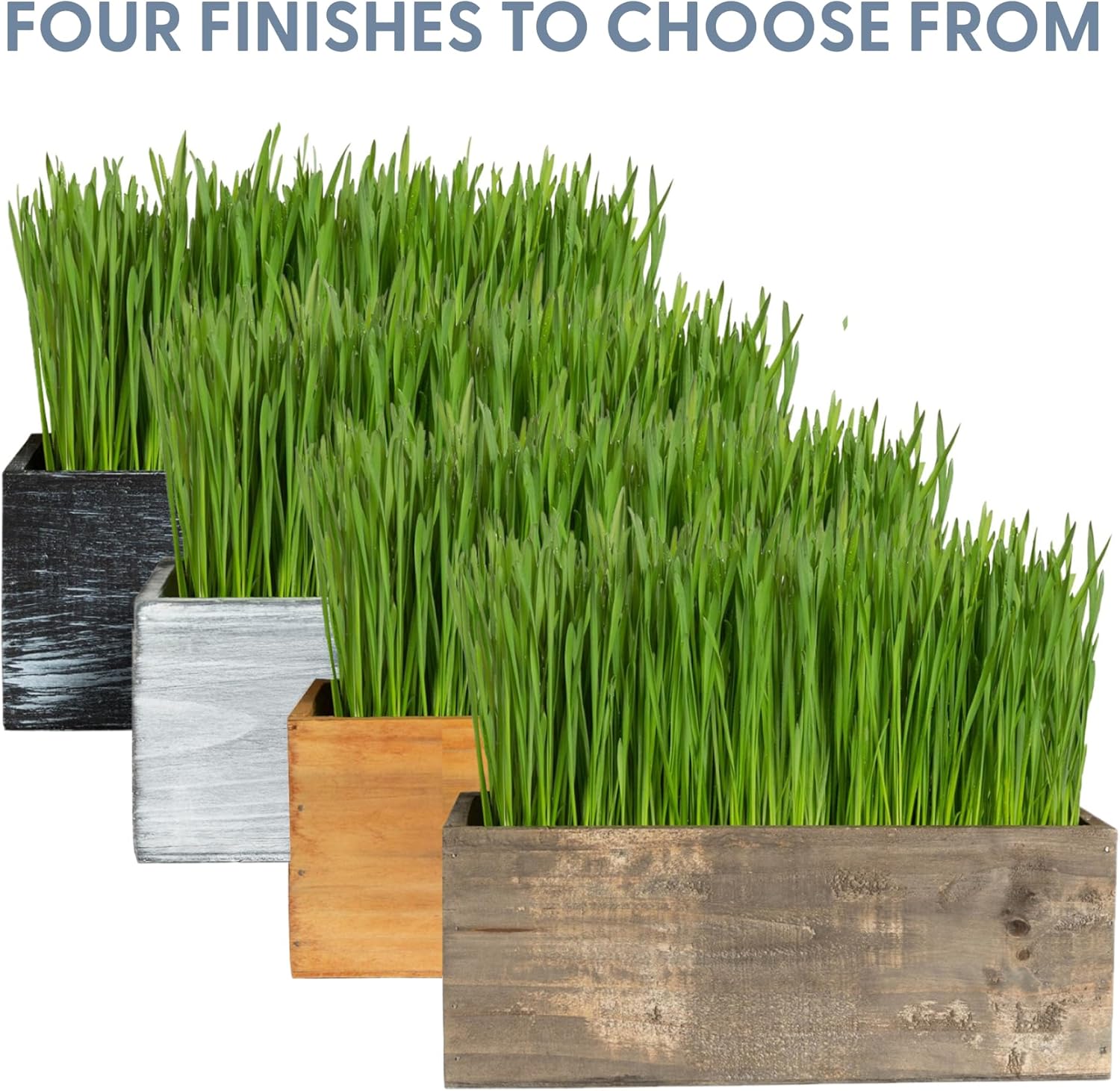 The Cat Ladies Cat Grass Kit Complete with Rustic Wood Planter, Organic Seed and Soil. Easy to Grow - Great for Indoor or Outdoor Cat, Dogs and Other Pets. Prevent Hairballs and Aid Digestion…