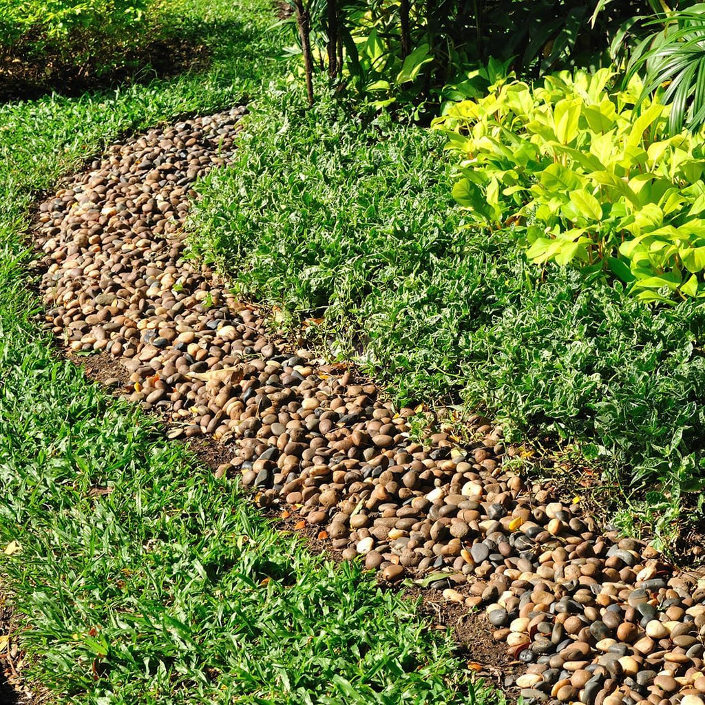 5lbs Aquarium Rocks, 5/8" Natural Mixed Pebbles for Plants Decorative Polished River Rocks for Fish Tank, Landscaping, Gardening, Flower Pots, Vase Fillers, Indoor Water Fountains