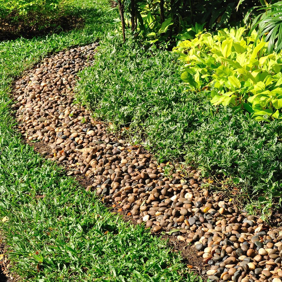 5lbs Aquarium Rocks, 5/8" Natural Mixed Pebbles for Plants Decorative Polished River Rocks for Fish Tank, Landscaping, Gardening, Flower Pots, Vase Fillers, Indoor Water Fountains