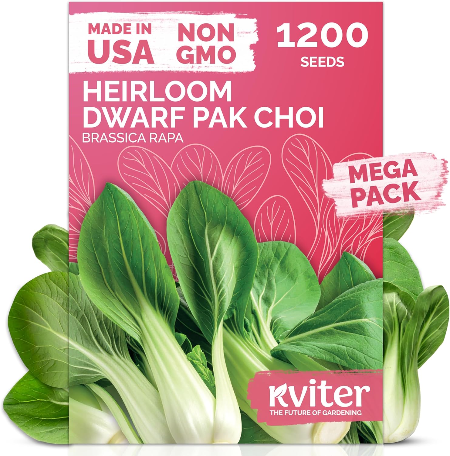KVITER 1,200 Baby Bok Choy Seeds for Planting (Brassica rapa subsp. chinensis) – Heirloom Extra Dwarf Pak Choi, White Stem Chinese Variety – Organic Cabbage Seeds to Plant in Vegetable Garden