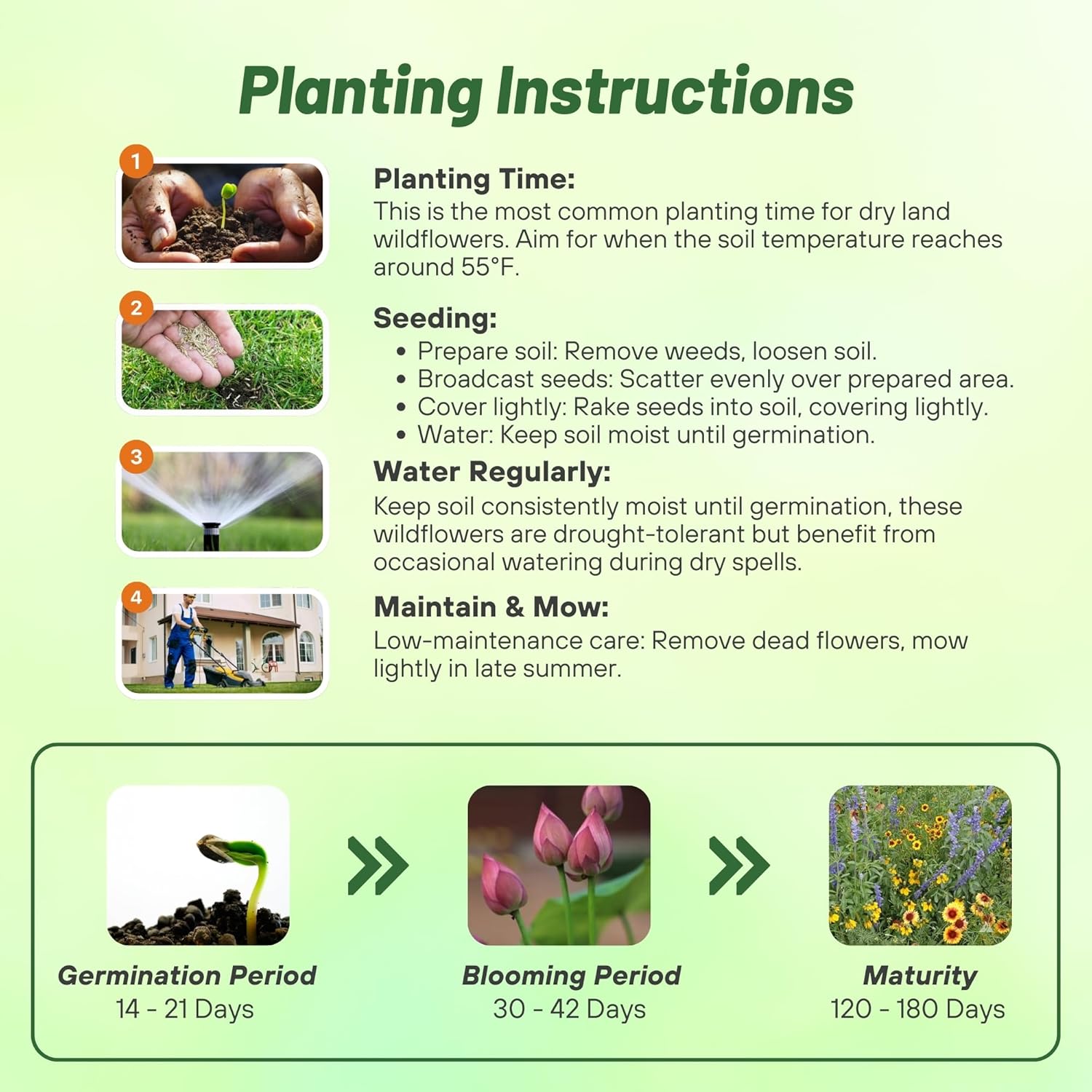 Outsidepride Dryland Wildflower Seed Mix - 1/4 lb. Colorful Blend of Drought Tolerant, Annual and Perennial Wildflower Seeds for Attracting Pollinators in Arid States & Xeriscapes