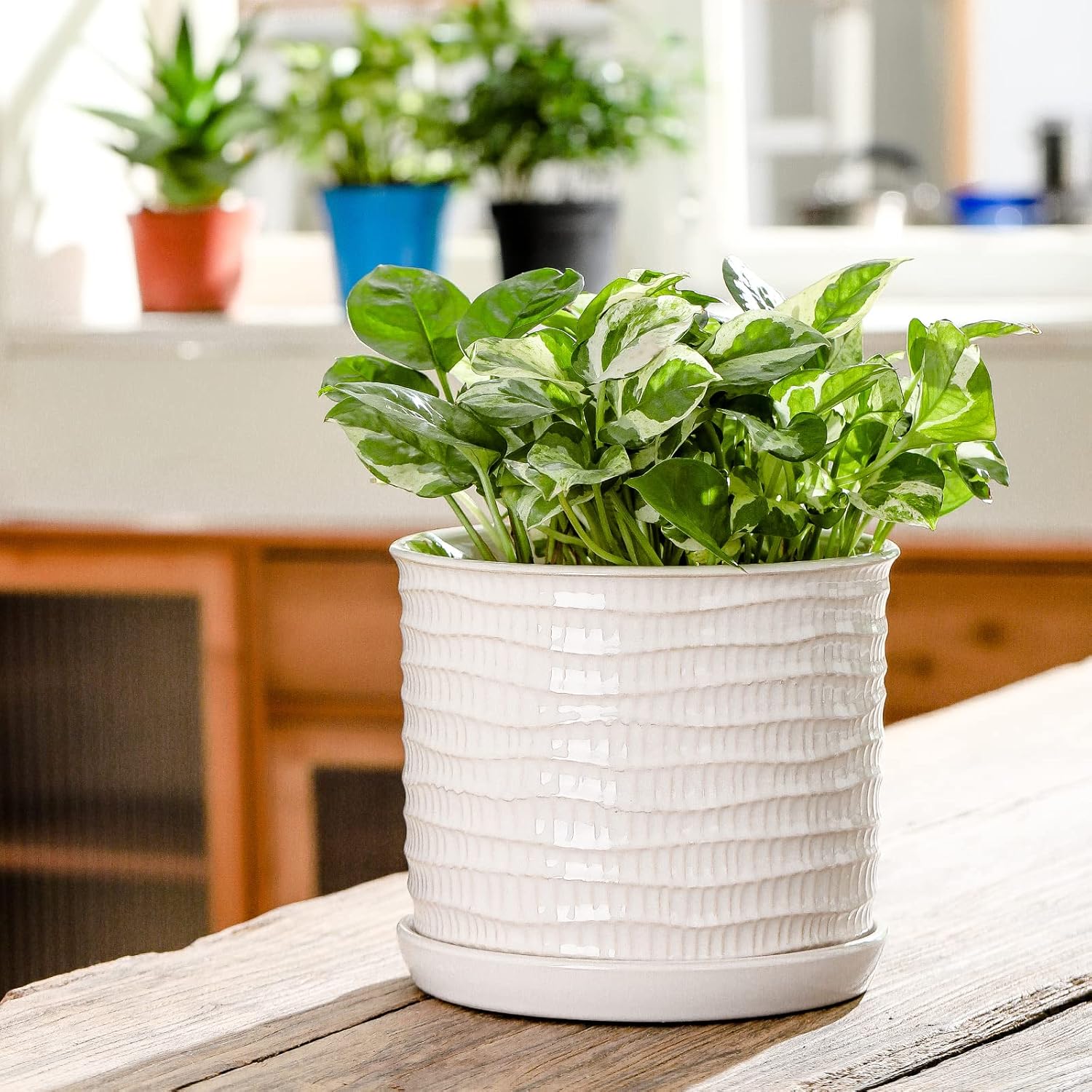 8 Inch Plant Pot: Ceramic Planter with Drainage Hole & Saucer for Indoor Outdoor Plants - Flowerpot with Bonded Tray for Home Office - Wave Embossed