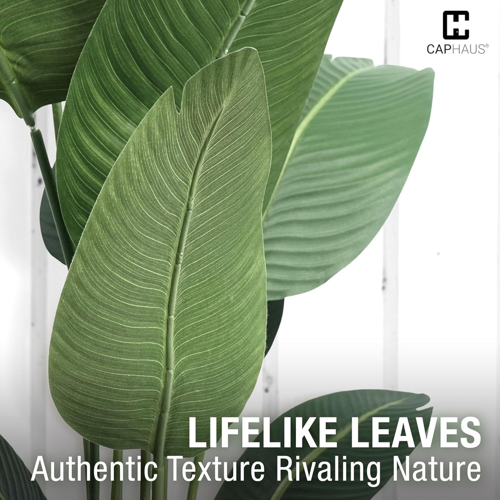 CAPHAUS 6 Feet Artificial Bird of Paradise, 72 Inch with 13 Trunks, Premium UV Resistant Lifelike Fake Plant in Pot with Dried Moss for Office, Indoor/Outdoor Use & Tropical Home Décor