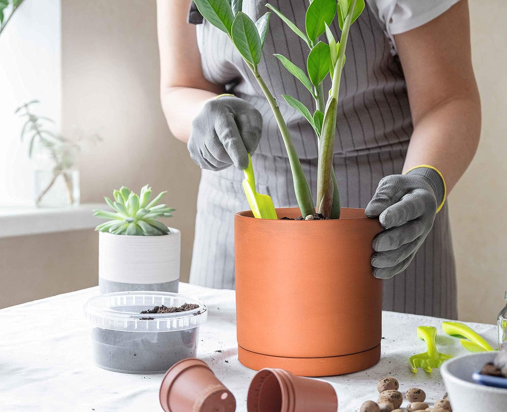 D'vine Dev Medium 8 Inch Terracotta Plant Pot with Drainage Hole and Saucer, Round Cylinder Planter Pot for Indoor Plants, Set of 2, 40-X-B-4