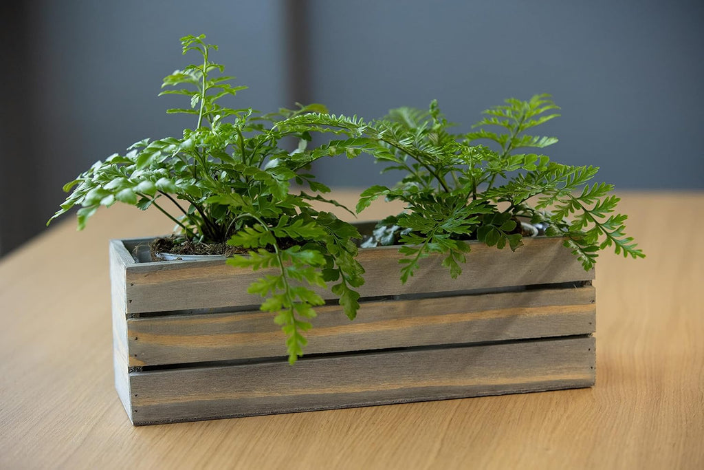 Wood Planter Box with Wine Crate Styled, 12x4 Inch Rectangular, Rustic Barn Wood, Plastic Liner, Wedding Flowers Holder, Home and Venue (12x4 Wine Crate Set of 4, Natural)