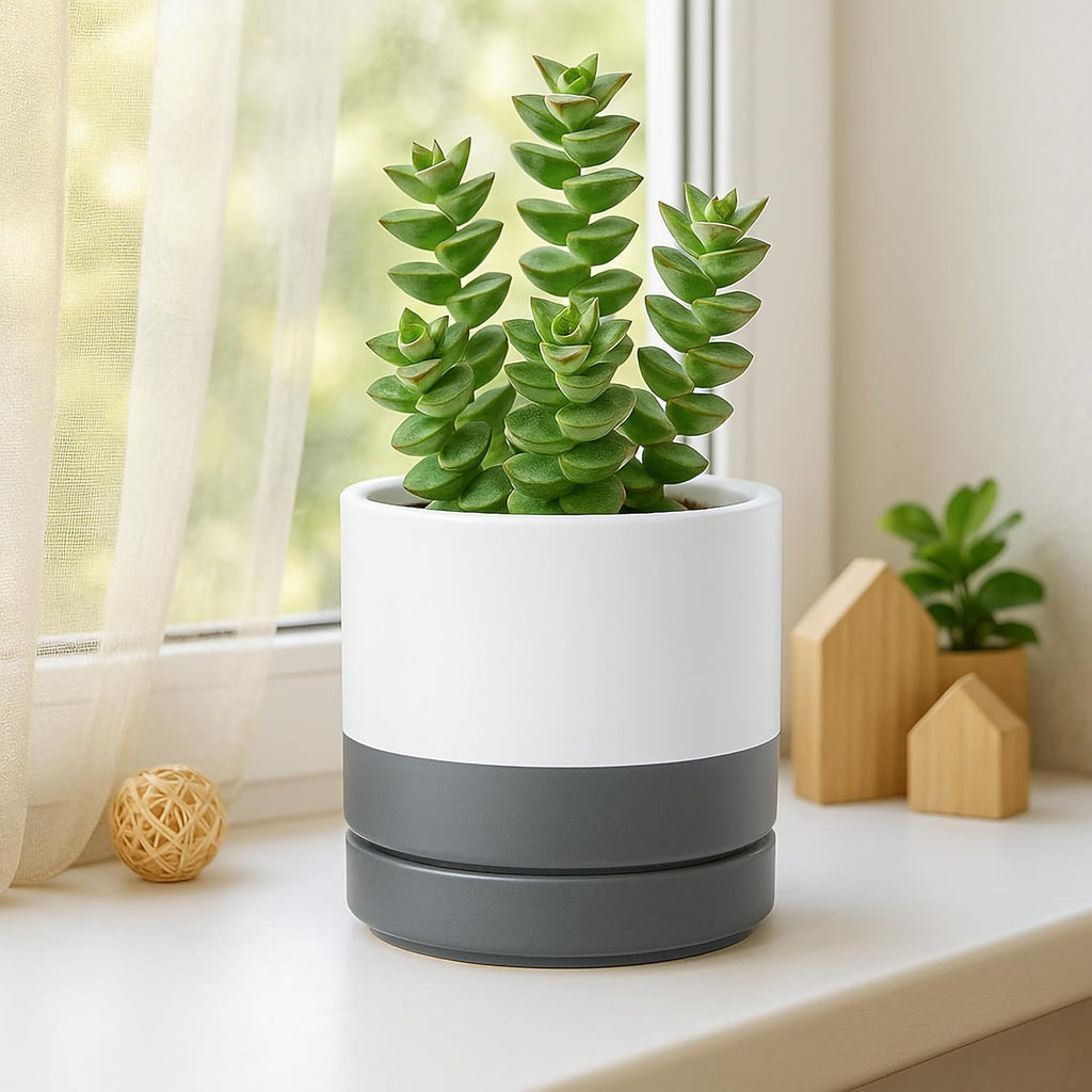 D'vine Dev 4 Inch & 6 Inch & 8 Inch, Set of 3 Round Ceramic Planter Pot with Drainage Hole and Saucer, White/Speckled Grey, 94-T-M-6