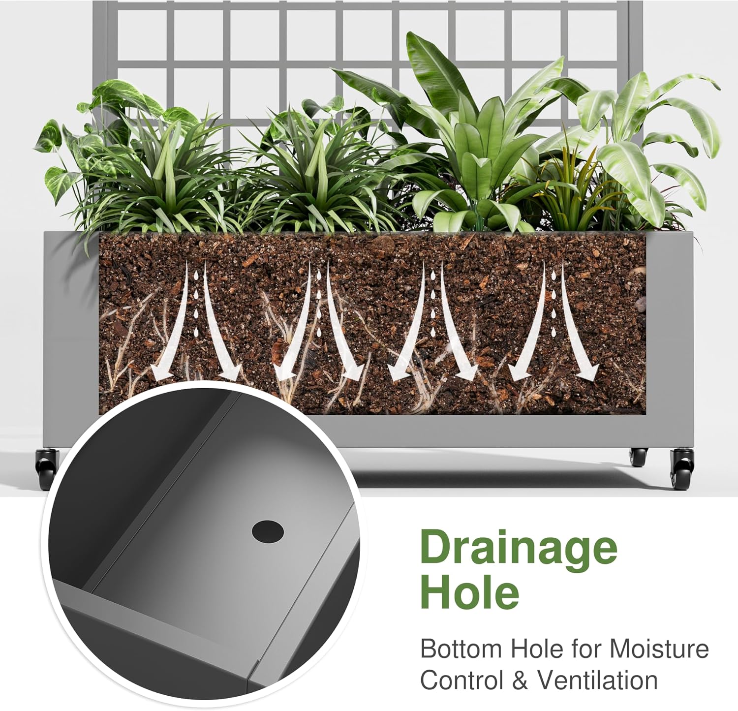 Casaphoria Metal Raised Garden Bed with Trellis and Wheels, 72"x35"x16" Planter Box for Climbing Plants, Vegetables & Vines, Features Drainage Holes and Privacy Screen (Gray-Square)