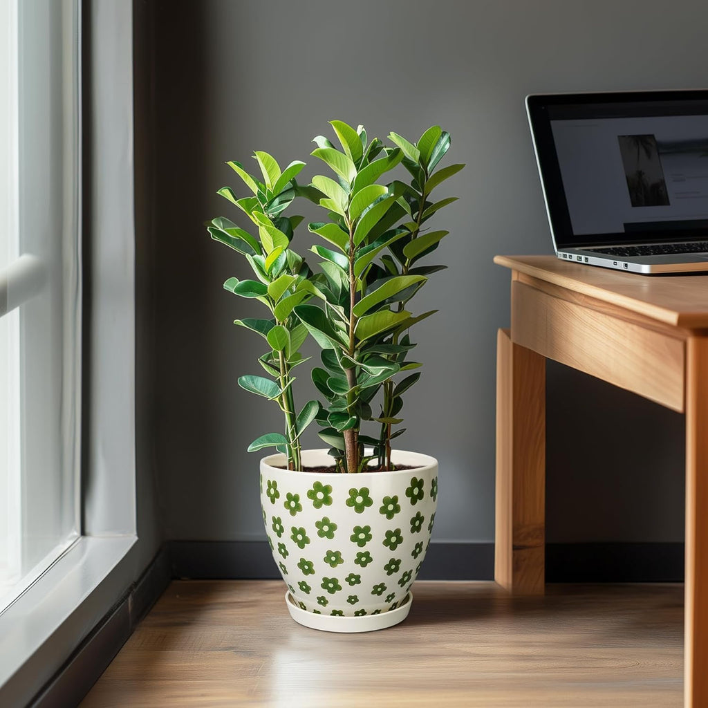 Ceramic Flower Pot - 10 Inch Plant Pot Indoor with Drainage Hole and Saucer, Boho Round Ceramic Planter for Indoor Outdoor Plants, Plant Lover Gifts, Home Garden House Decor, White