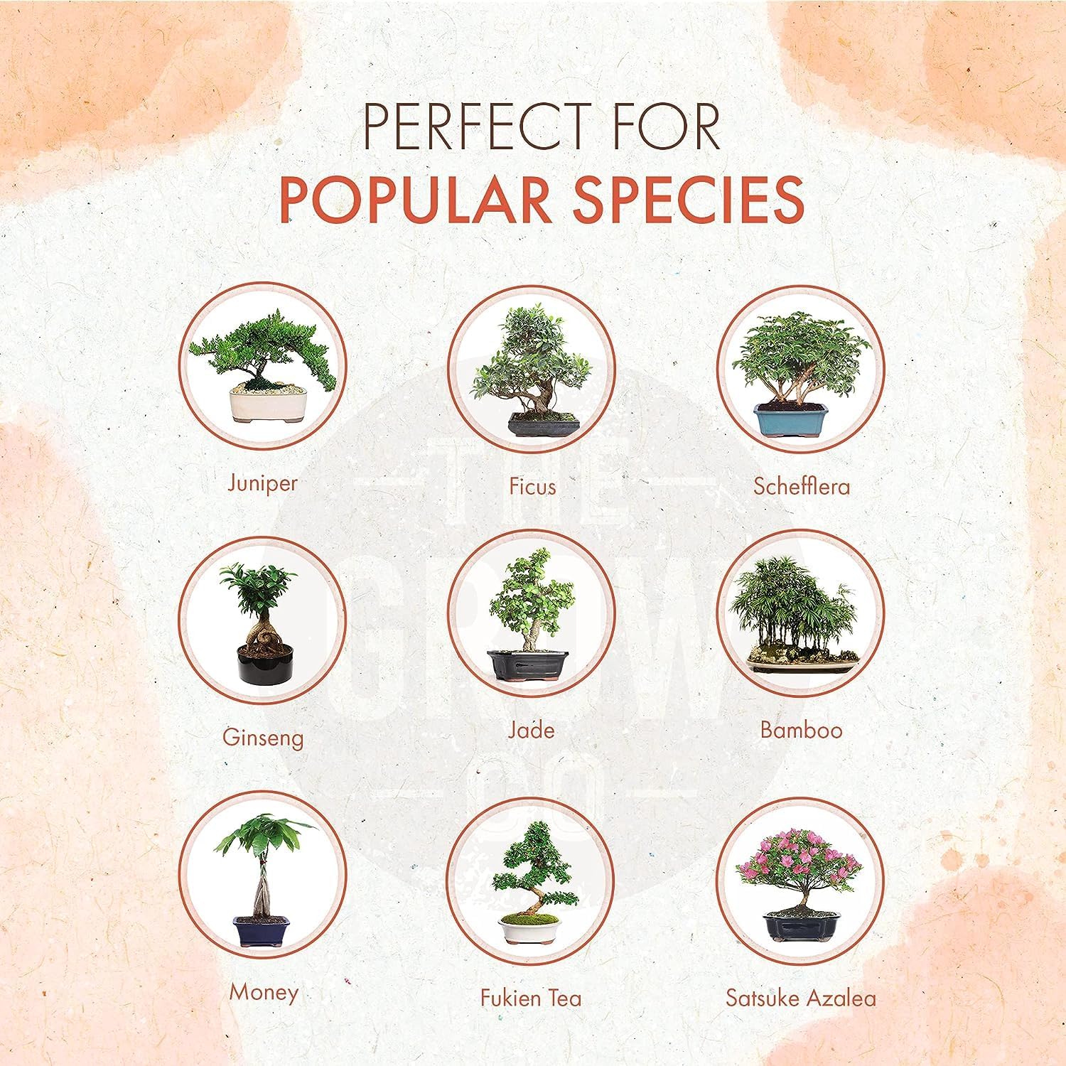 8oz Bonsai Fertilizer Liquid - Organic Bonsai Food Liquid Fertilizer for Long Term Health - Gentle Plant Food for Indoor and Outdoor Use, Promotes Robust Growth, Strong Stems and Beautiful Blooms