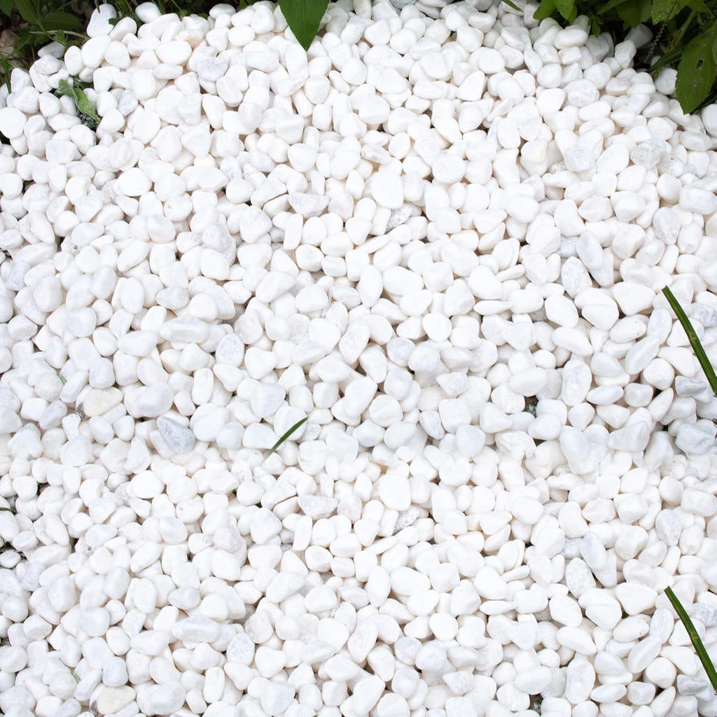 45lb White Rocks for Plants,Potting,Succulents Aquarium Fish Tank Garden Vases Decorative Pebbles Gravel Rocks Stones