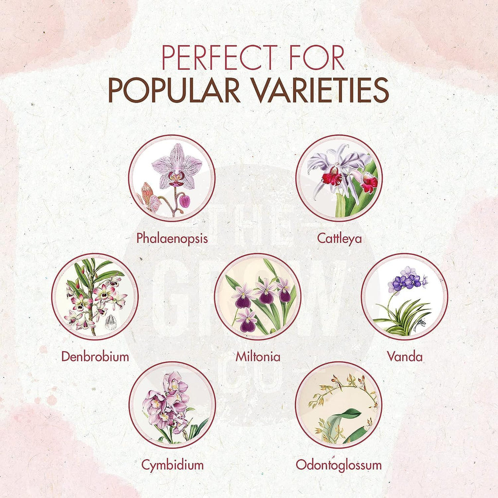 Organic Ready to Spray Orchid Food Mist - Bloom Booster Fertilizer for Orchids in Pots - Plant Nutrients for Healthy Flower & Reblooms (8 oz)