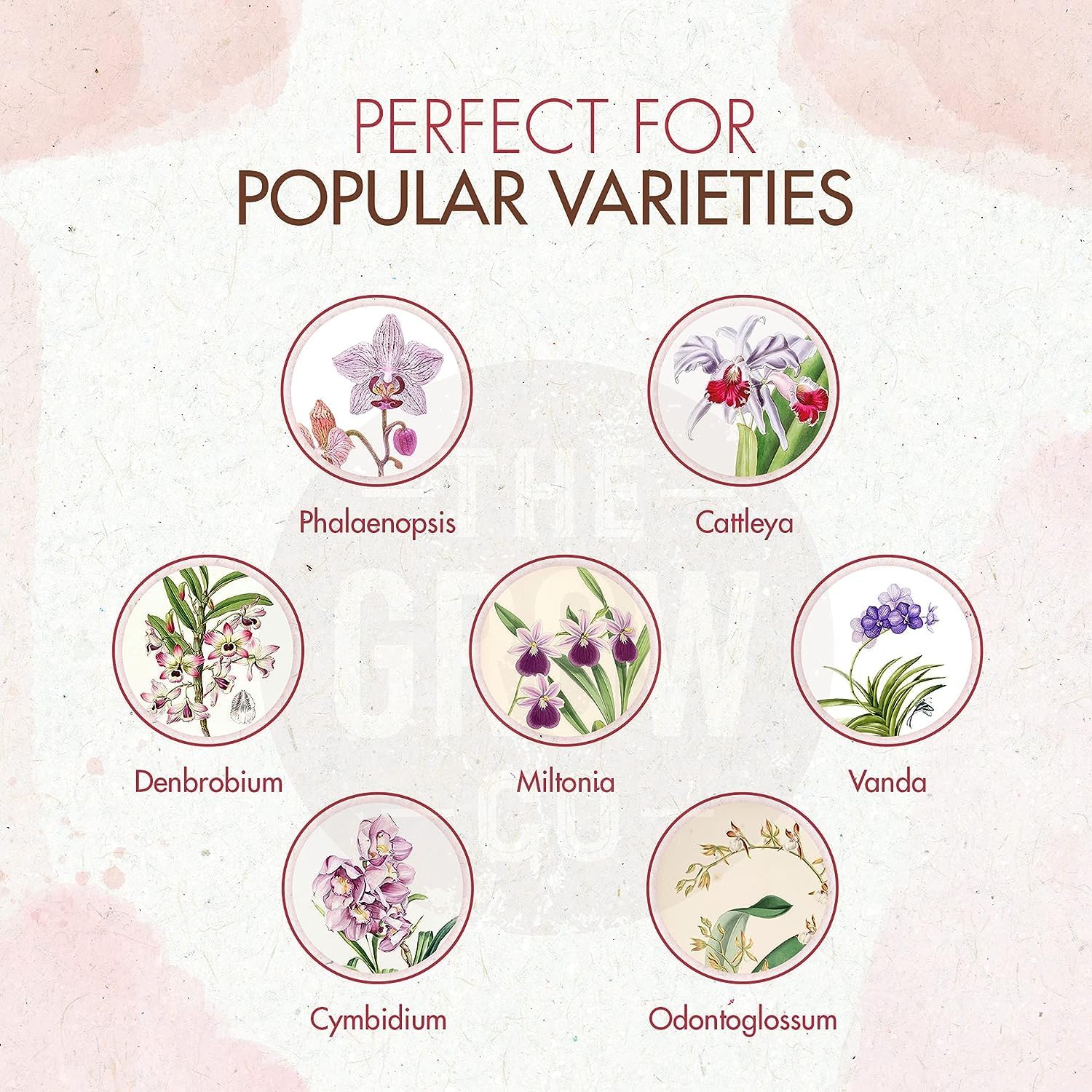 Organic Ready to Spray Orchid Food Mist - Bloom Booster Fertilizer for Orchids in Pots - Plant Nutrients for Healthy Flower & Reblooms (8 oz)