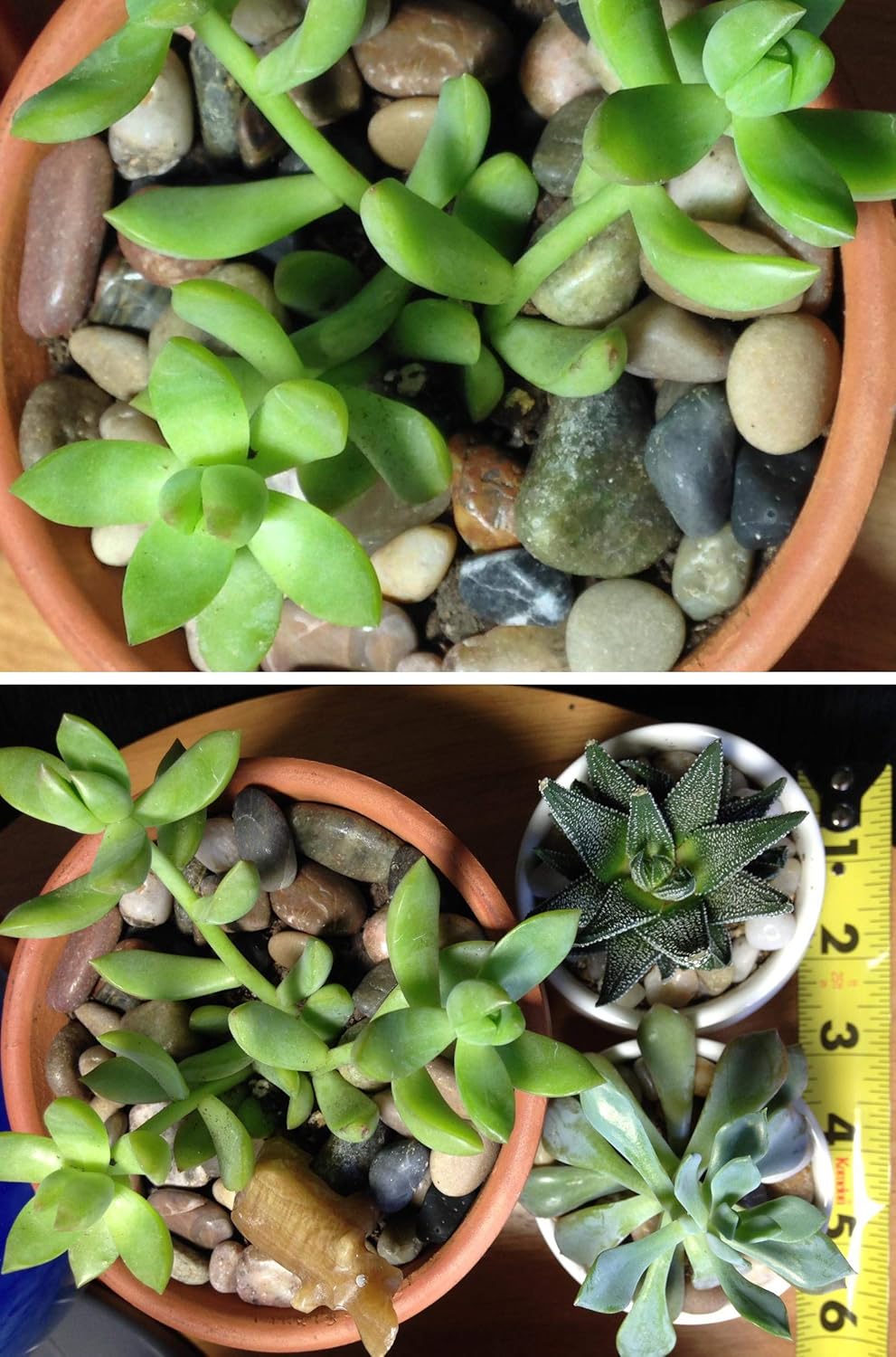 Voulosimi 40 LBS River Rock Stones, Natural Decorative Polished Mixed Pebbles Gravel,Outdoor Decorative Stones for Plant Aquariums, Landscaping, Vase Fillers