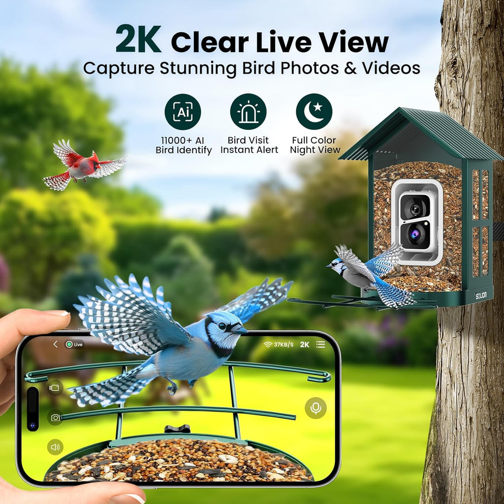 SOLIOM Solar Bird Feeder with Camera for Outdoors - AI Smart Birdhouse, 2K Live View & Instant Alerts, Squirrel Proof - Perfect Bird Watching Gift (Green)