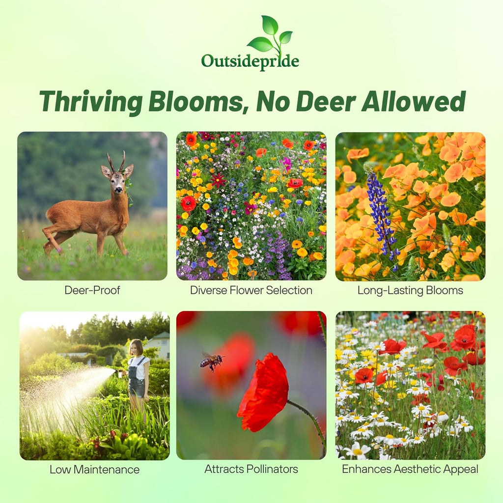 Outsidepride Deer Proof Wildflower Seed Mix - 1/4 lbs. Colorful Blend of Easy to Grow, Drought-Tolerant Annual & Perennial Wildflower Seeds for a Deer-Free,Vibrant Meadow & Pollinator-Friendly Garden
