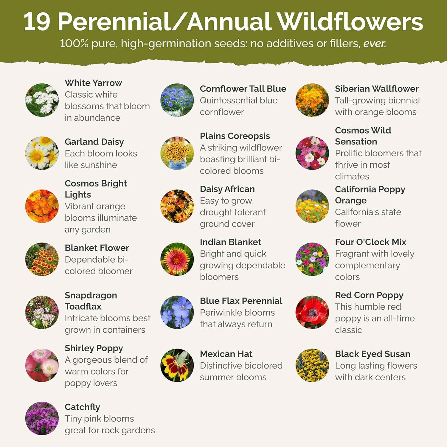 Eden Brothers Dry Area Wildflower Mixed Seeds for Planting, 25 lb, 12,000,000+ Seeds with Cosmos, African Daisy, Blue Flax, Attracts Pollinators, Plant in Spring or Fall, Zones 3, 4, 5, 6, 7, 8, 9, 10