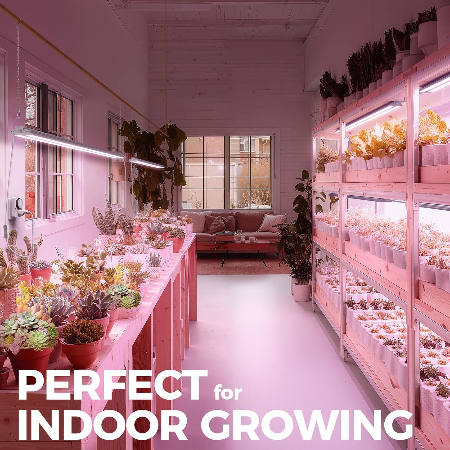 Barrina TX72 4FT Grow Lights for Seed Starting, 288W(4 x 72W, 2000W Equivalent), Full Spectrum, Linkable, High PPFD, Mechanical Timer, Grow Lights for Indoor Plants with On/Off Switch, 4 Packs