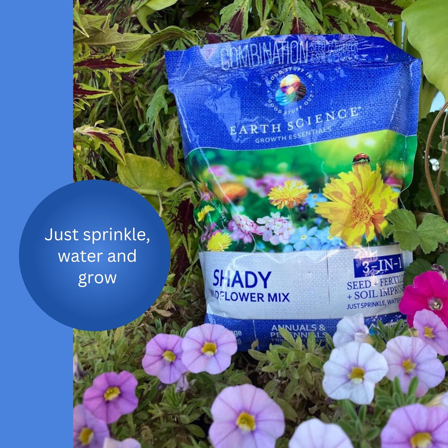 Earth Science Shady Wildflower Mix— 6 lb— 3-in-1 Formula with Premium Wildflower Seeds, Plant Food and Soil Conditioners - Non-GMO, Natural Ingredients