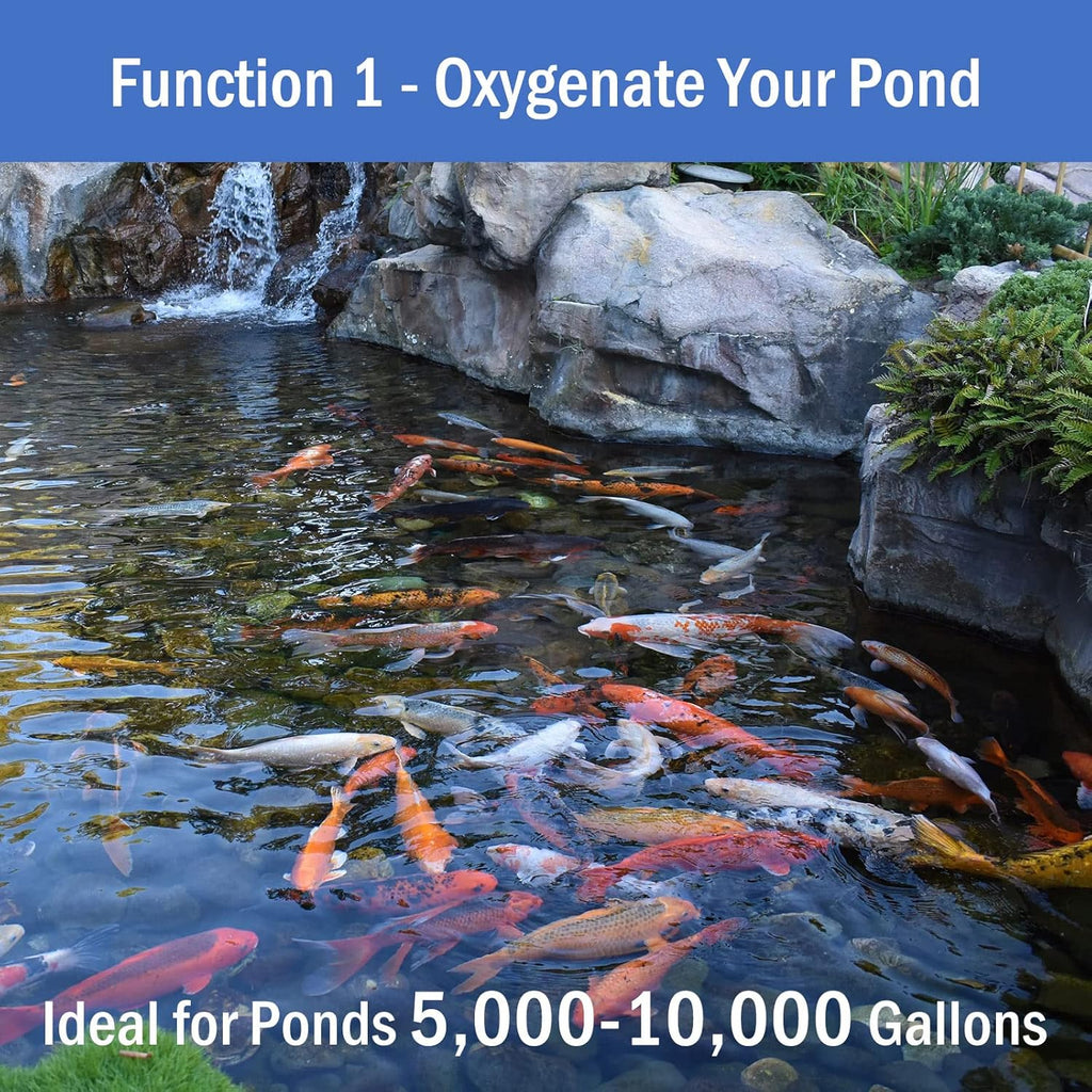 AquaMiracle All-in-One Koi Pond Aerator for Outdoor Ponds, Pond Air Pump Pond Aeration System with Self-Sinking Airline Flow Control Rubber Air Diffuser