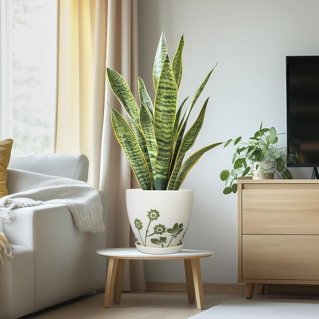 8.2 Inch Plant Pot - Ceramic Planter for Indoor Outdoor Flowers, Boho Round Decorative Indoor Flower Pot with Drainage Hole and Saucer, Gifts for Plant Lovers, Office Garden House Decor, White