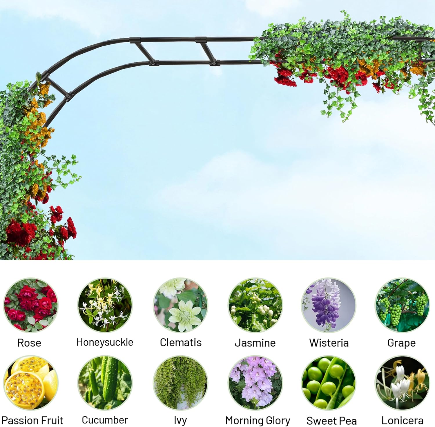 Twira Garden Arch Trellis, 7.9FT(240cm) Metal Garden Arbor Trellis for Climbing Plants Outdoor, Large Wedding Arch for Ceremony, Black Garden Archway Trellises Decoration for Lawn, Patio, Backyard