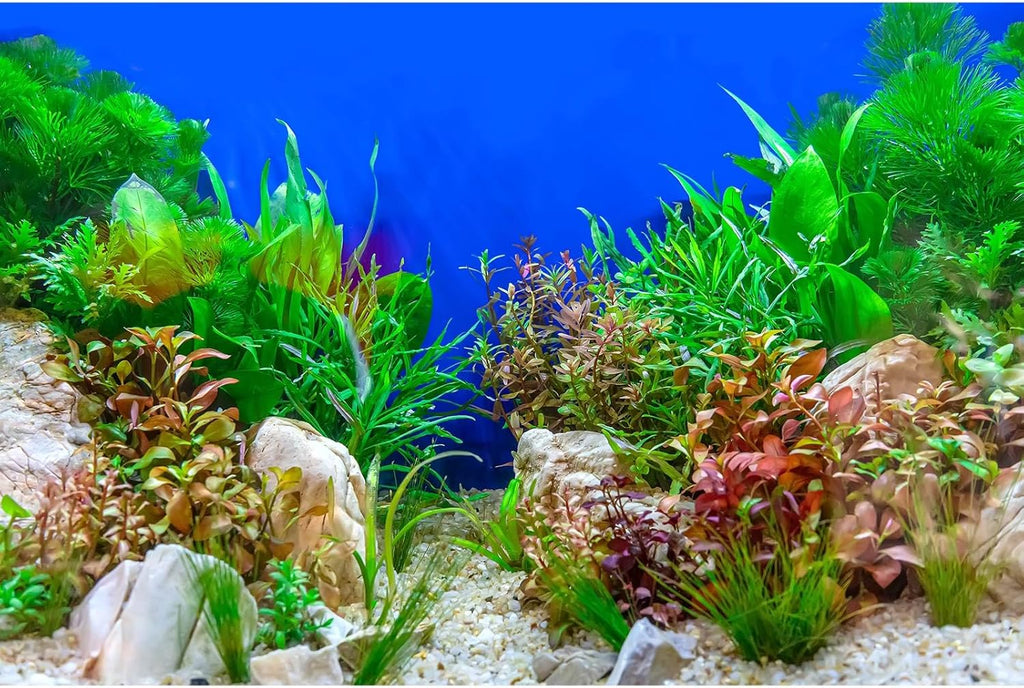 Aquarium Background Green Aquatic Plant Stone River Bed and Lake Fish Tank Background Decor Underwater Grass Leaves with Pebble Aquarium Backdrop Perfect Fish Tank Decors Vinyl 36x20in