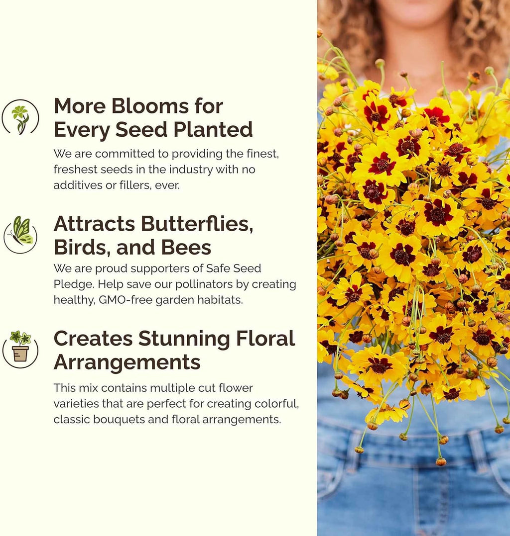 Eden Brothers Mellow Yellow Flower Mixed Seeds for Planting, 1 lb, 480,000+ Seeds with Painted Daisy, Zinnia, Cosmos | Attracts Pollinators, Plant in Spring or Fall, Zones 3, 4, 5, 6, 7, 8, 9, 10