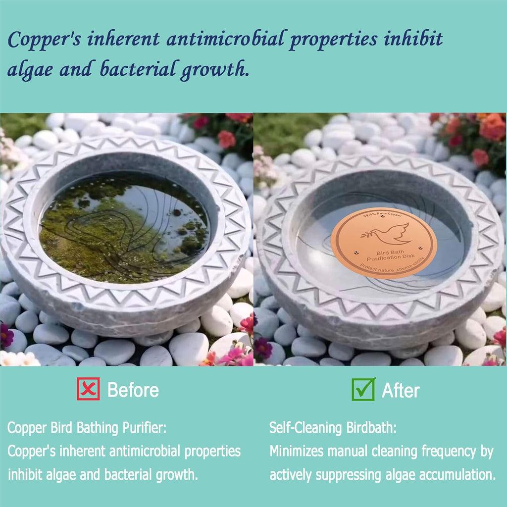 3Pack Bird Bath Copper Purification Disk | 0.6mm Reinforced 99.9% Pure Copper | Universal Fit for Outdoor Birdbaths(Birdbath Copper 3 Pack)