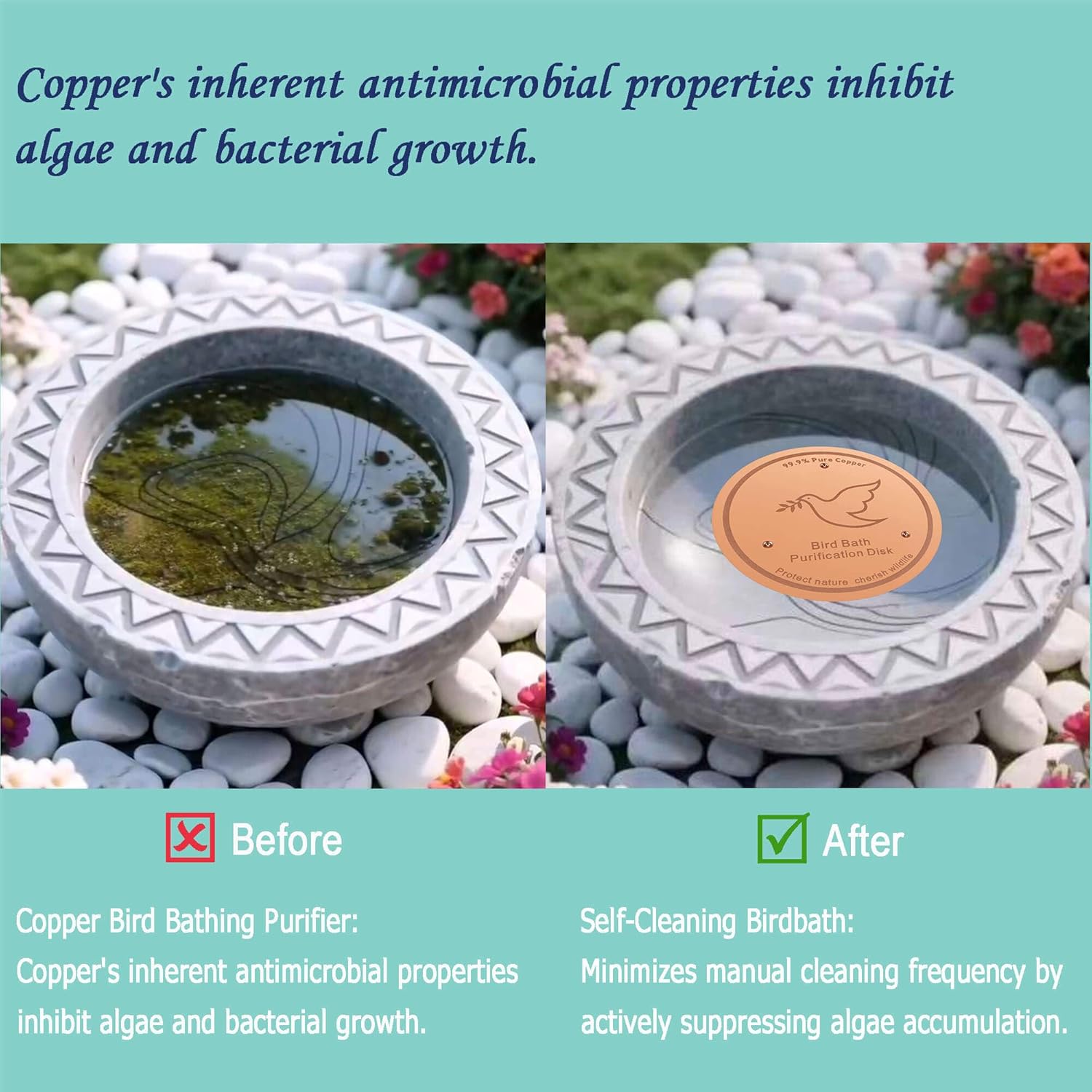 1Pack Bird Bath Copper Purification Disk | 0.6mm Reinforced 99.9% Pure Copper | Universal Fit for Outdoor Birdbaths(Birdbath Copper 1 Pack)