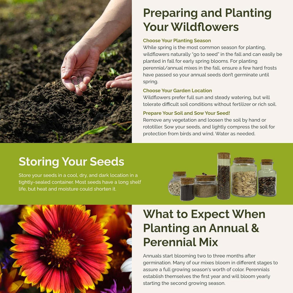 Eden Brothers Dry Area Wildflower Mixed Seeds for Planting, 1/4 lb, 120,000+ Seeds with Cosmos, African Daisy, Blue Flax | Attracts Pollinators, Plant in Spring or Fall, Zones 3, 4, 5, 6, 7, 8, 9, 10