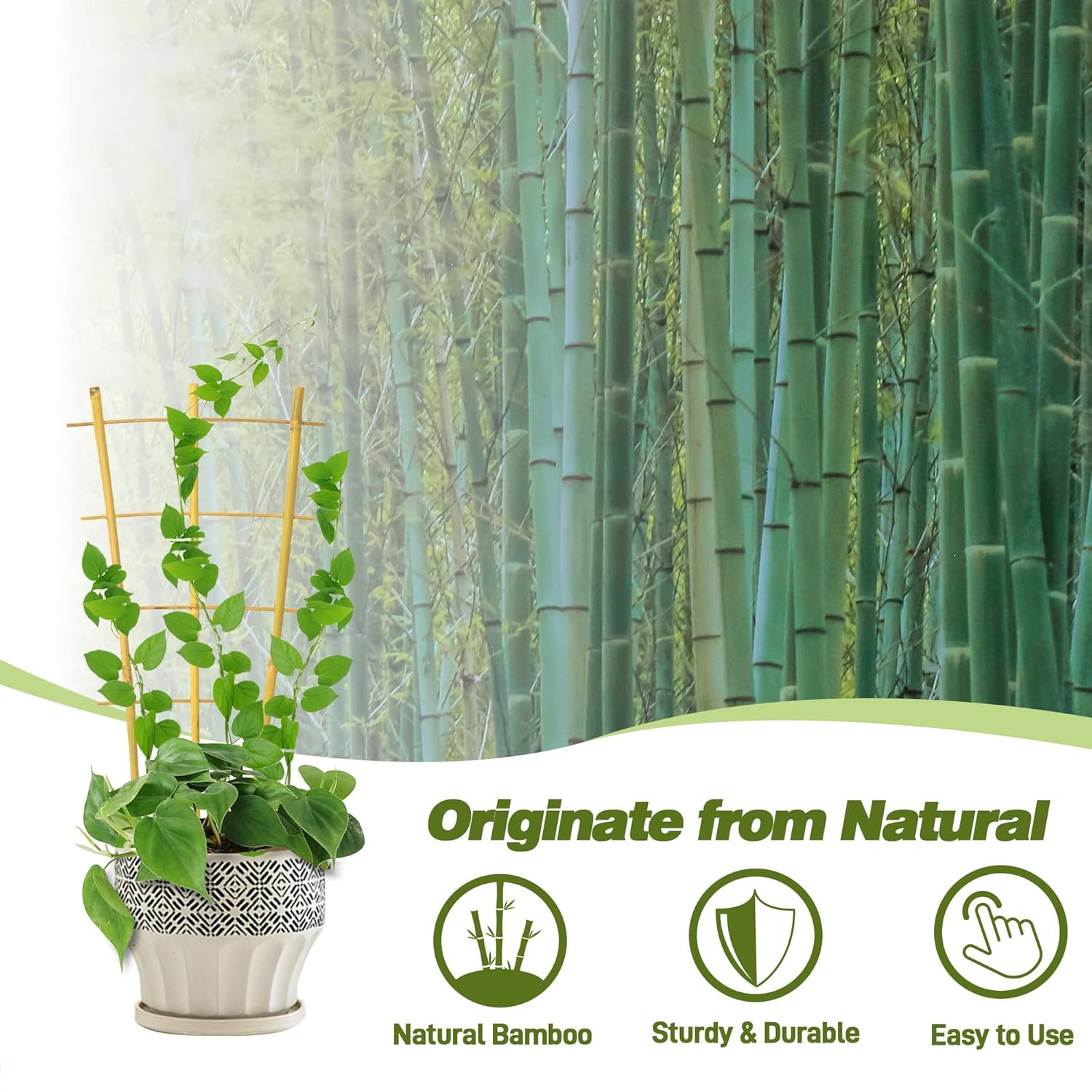 Avalution 10 Pack Bamboo Trellis for Climbing Plants 16" Natural Garden Ladder Trellis, Fan -Shaped Plant Support Trellis for Potted Plant Decor