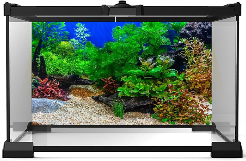 Aquarium Background Underwater Grass Leaves with Pebble Aquarium Backdrop Vivid and Fresh Green Aquatic Plant Stone River Bed and Lake Fish Deadwood Tank Background Decor Vinyl 72x18in