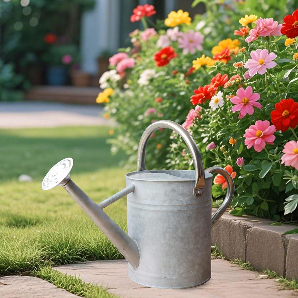 Metal Watering Can for Outdoor and Indoor Plants, Watering Can Decor, 1 Gallon (Zinc Stainless Steel Handle)