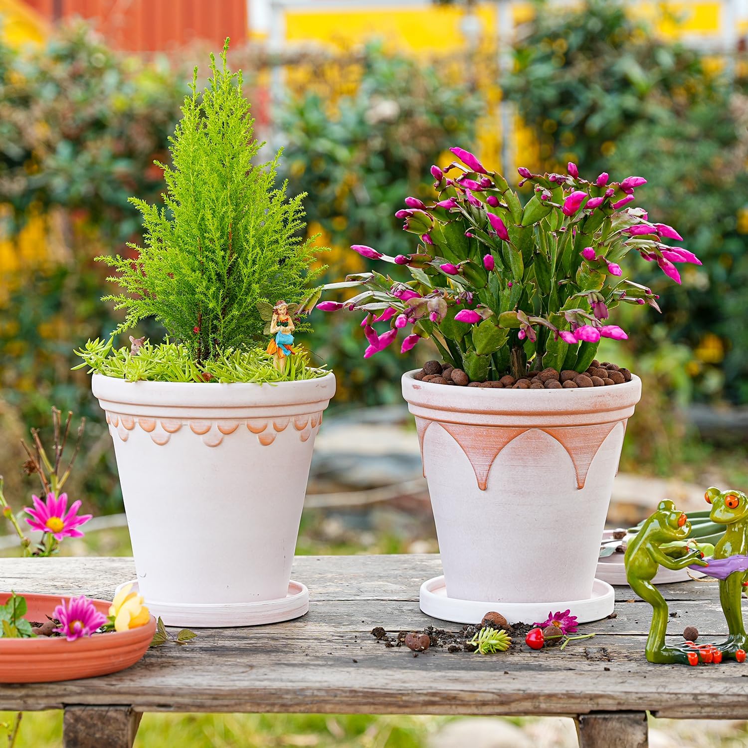 Sungmor Terra Cotta Pot Set - 3 Unique Embossed Clay Planters with Saucer & Drainage, 8 Inch Large & Deep, Pretty Color, Ideal for Orchid, Cactus, Succulent