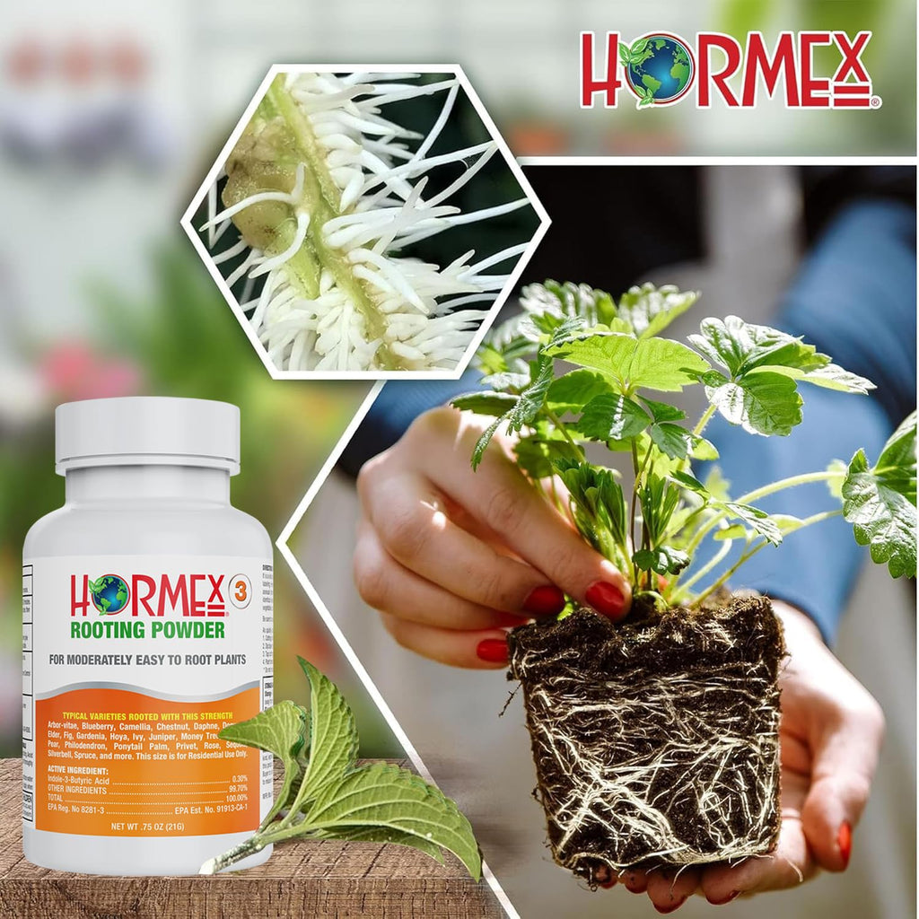 Hormex Rooting Powder #3 & Rooting Cubes Combo - Rooting Hormone for Semi-Softwood Cuttings & Organic Peat Moss Coco Plugs - Fast, Healthy Root Growth for Propagation, Hydroponics, & Seed Starting