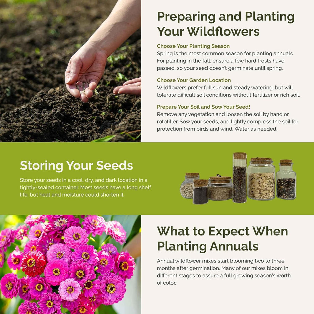 Eden Brothers Cupid's Flower Seed Mixed Seeds for Planting, 1/4 lb, 120,000+ Seeds with Malop Vulcan, Zinnia | Attracts Pollinators, Plant in Spring, Zones 2, 3, 4, 5, 6, 7, 8, 9, 10