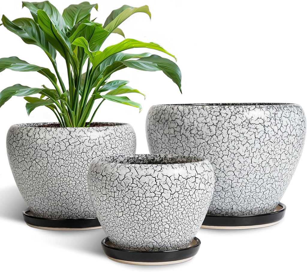 Ceramic Plant Pots Set of 3, 10+8+6 Inch Modern Round Flower Planters with Drainage Holes and Plant Saucers for Indoor Outdoor, Home Garden Room Porch Decor, Plant Lover Gifts, White-Black